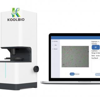 Non - consumable cell counting  KB-EZ