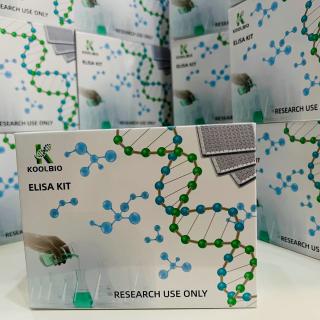  Rat Transferrin (TRF) ELISA Kit KB-E23200R