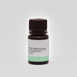 Cytosine  CAS：71-30-7  KBC8330