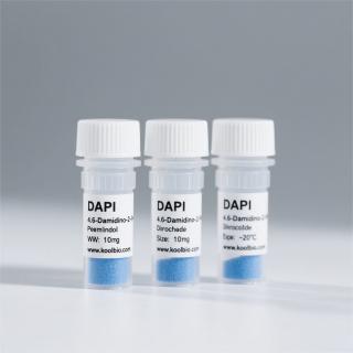 DAPI  CAS：28718-90-3  KBD8200