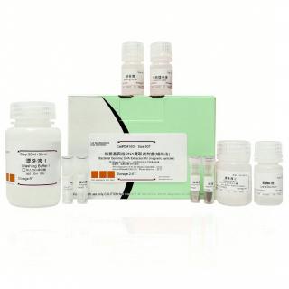 100× Protease Inhibitor Cocktail MIX(For Bacteria，AEBSF)  KM1030