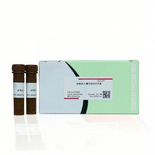 Osteogenic Identification Kit(Alizarin Red S)  KA10301