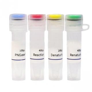 PNGase F Deglycosylation Kit KP2318M