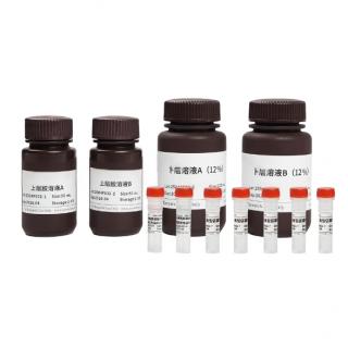 One-step stain-free Fastcast Colorful Acrylamide Kit (12%) KB3179-50T