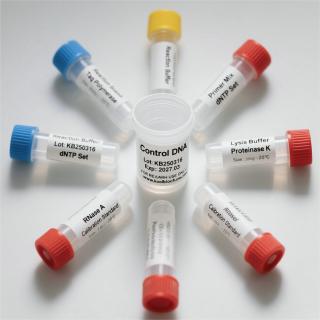 RT SuperMix for qPCR (One-Step gDNA Remover) K7536-50