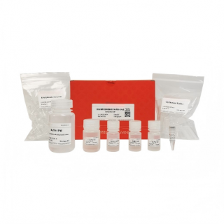 MagBind Plasmid DNA Miniprep Kit KBDM1100