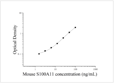 1755260488636256.jpg 13.jpg