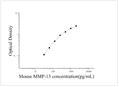 1755261889717326.jpg 25.jpg