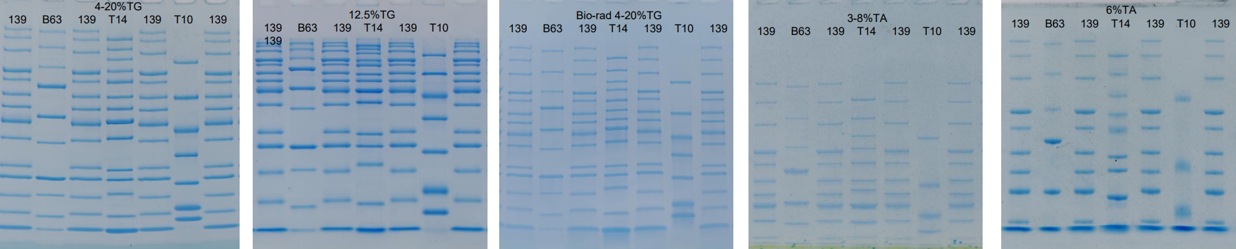 1761640507239117.png image.png