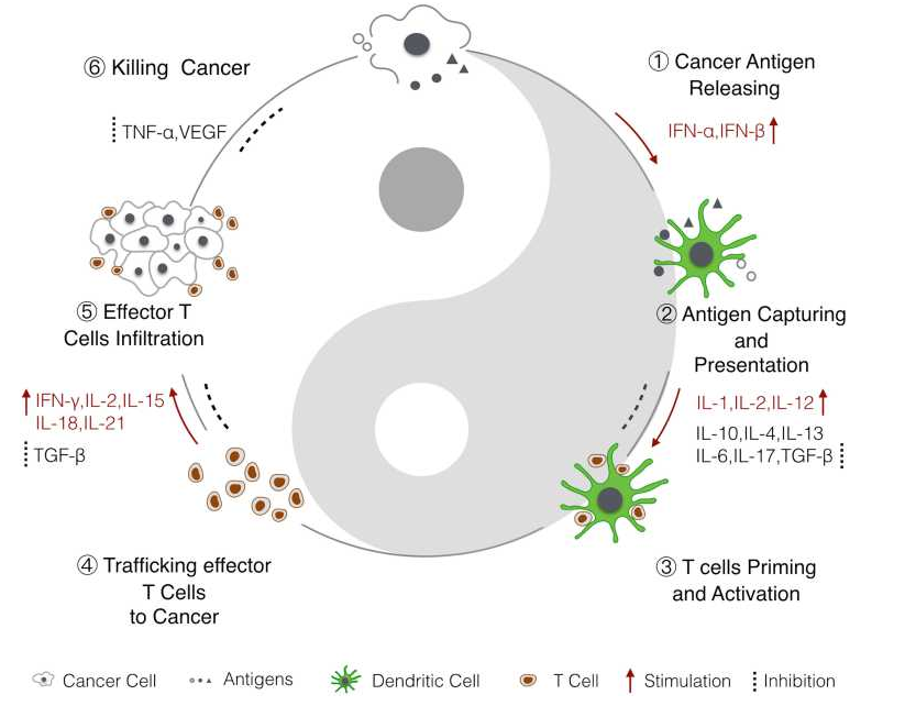 1761874561391693.png image.png